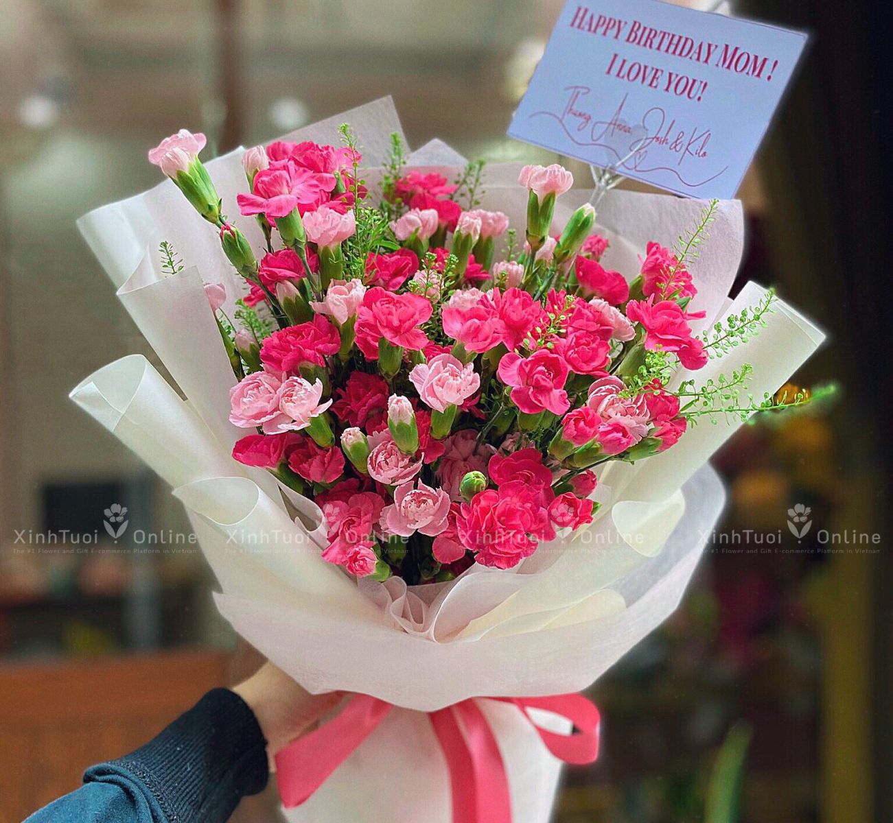 Hoa cẩm chướng là loài hoa sinh nhật ý nghĩa dành để tôn vinh những người mẹ
