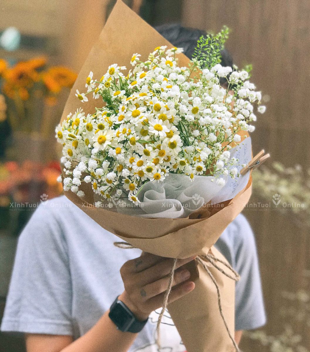 Cúc tana - Đóa hoa sinh nhật dễ thương tặng bạn gái