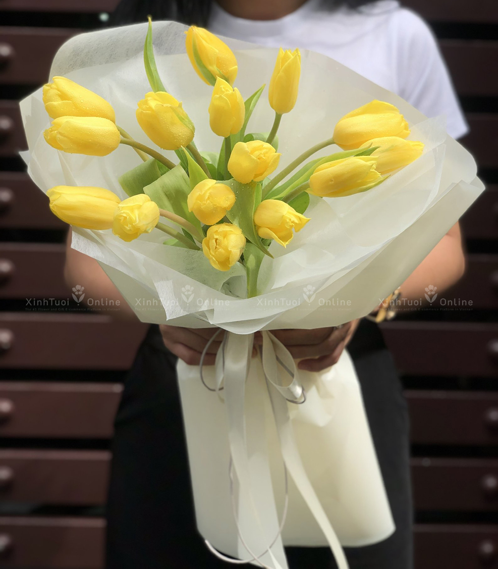 Hoa tulip tặng sinh nhật vợ