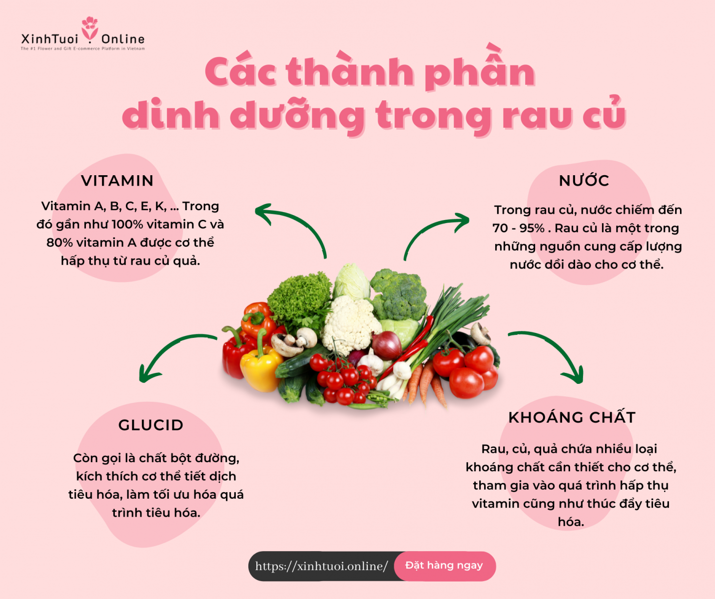 Thành phần dinh dưỡng trong rau củ