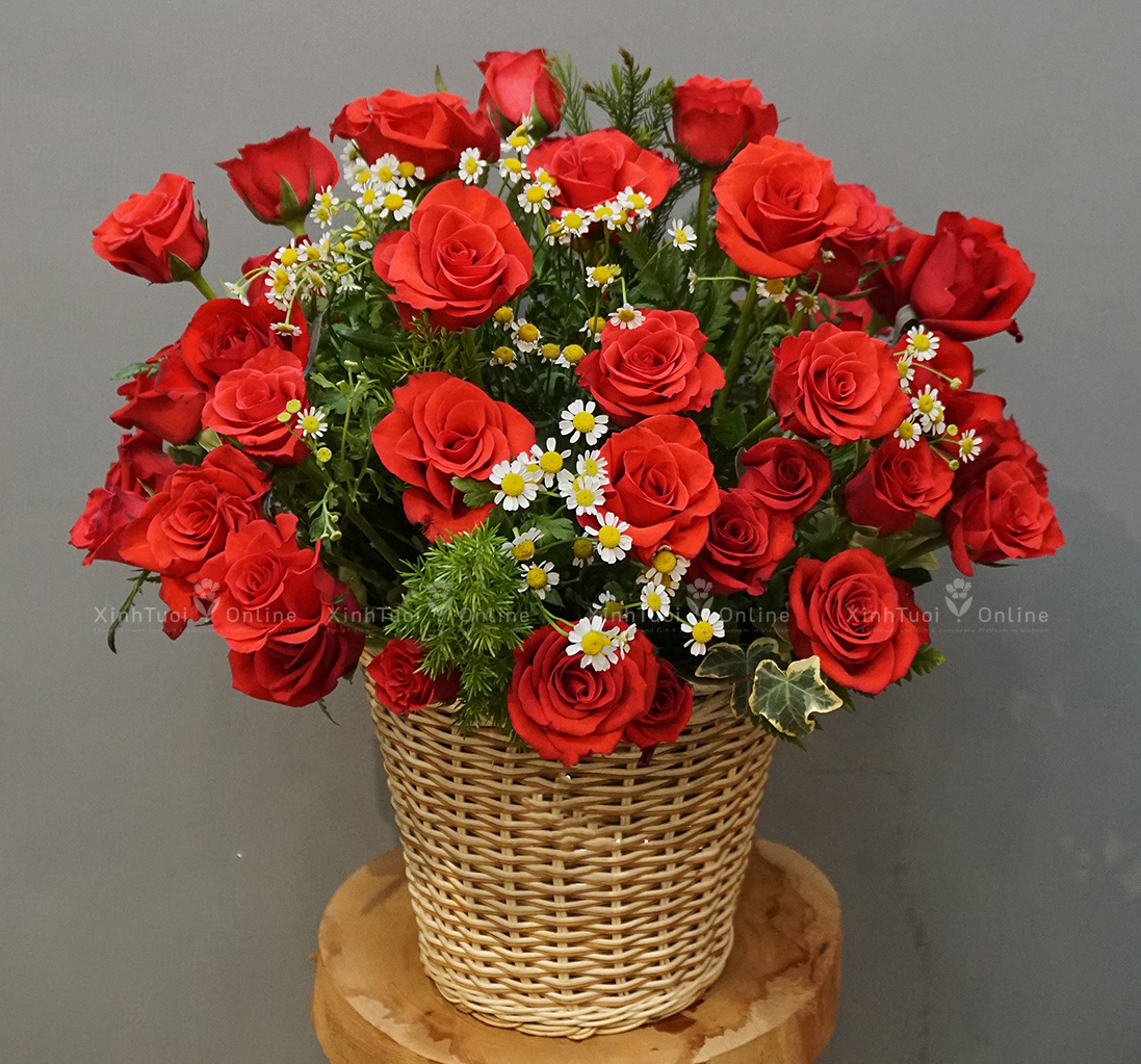 Hoa hồng đỏ tặng sinh nhật mẹ 