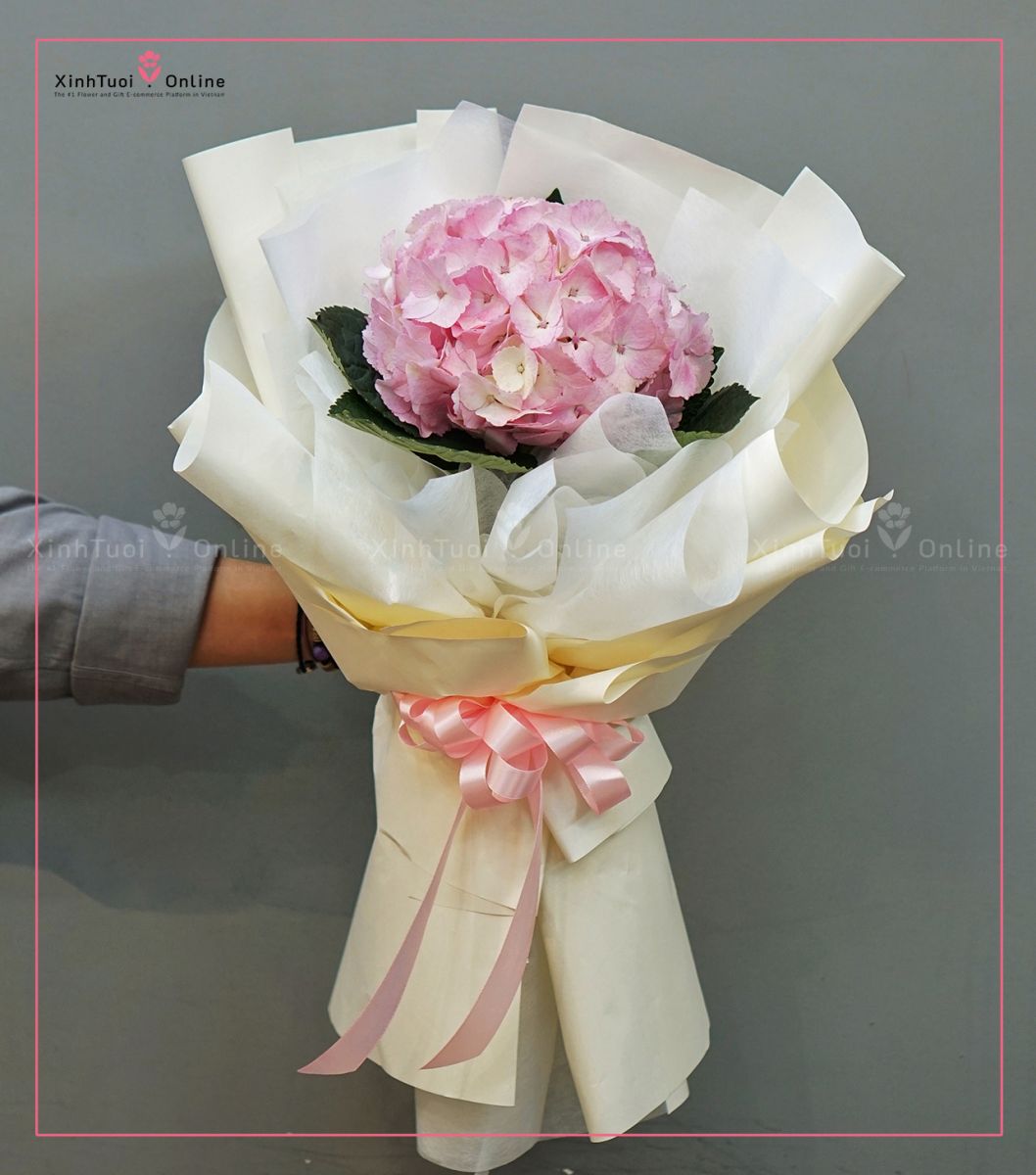 Bó hoa cẩm tú cầu tặng sinh nhật