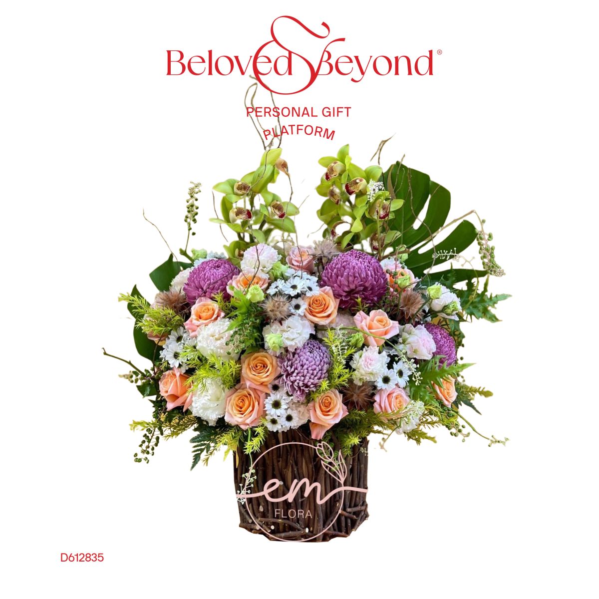 Hoa cúc mẫu đơn đẹp tại Beloved & Beyond