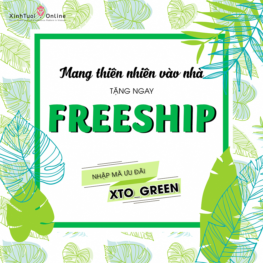 Khuyến mãi Freeship khi mua cây xanh tại Xinh Tươi Online 