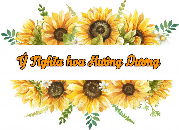 Ý nghĩa hoa hướng dương