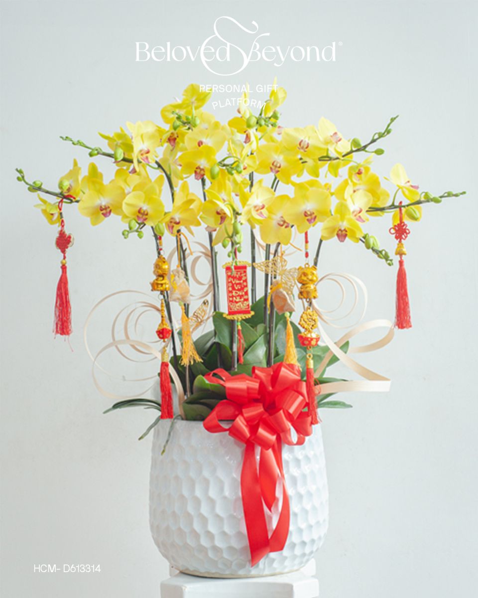 Hoa sinh nhật lan hồ điệp màu vàng