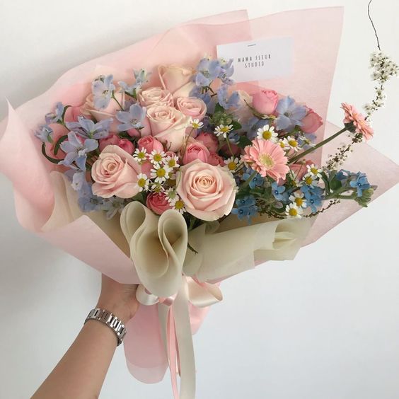 Hình ảnh sưu tầm